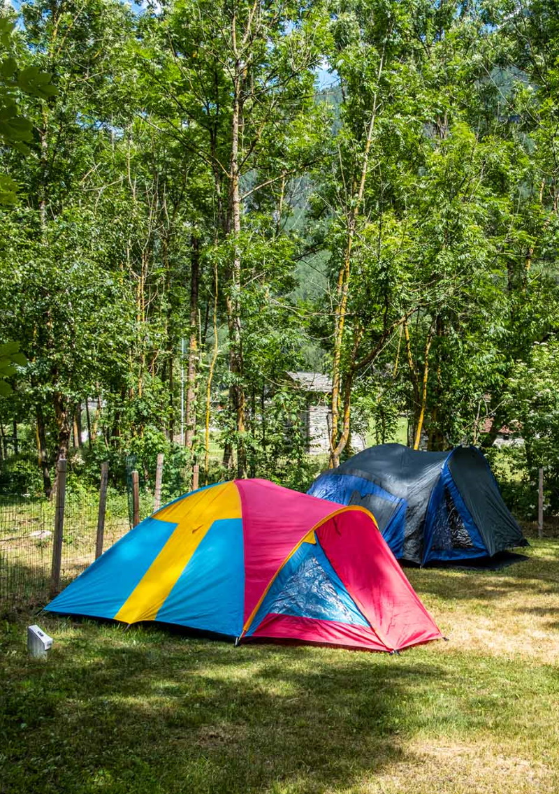 Campeggio Pradasc — photo 6